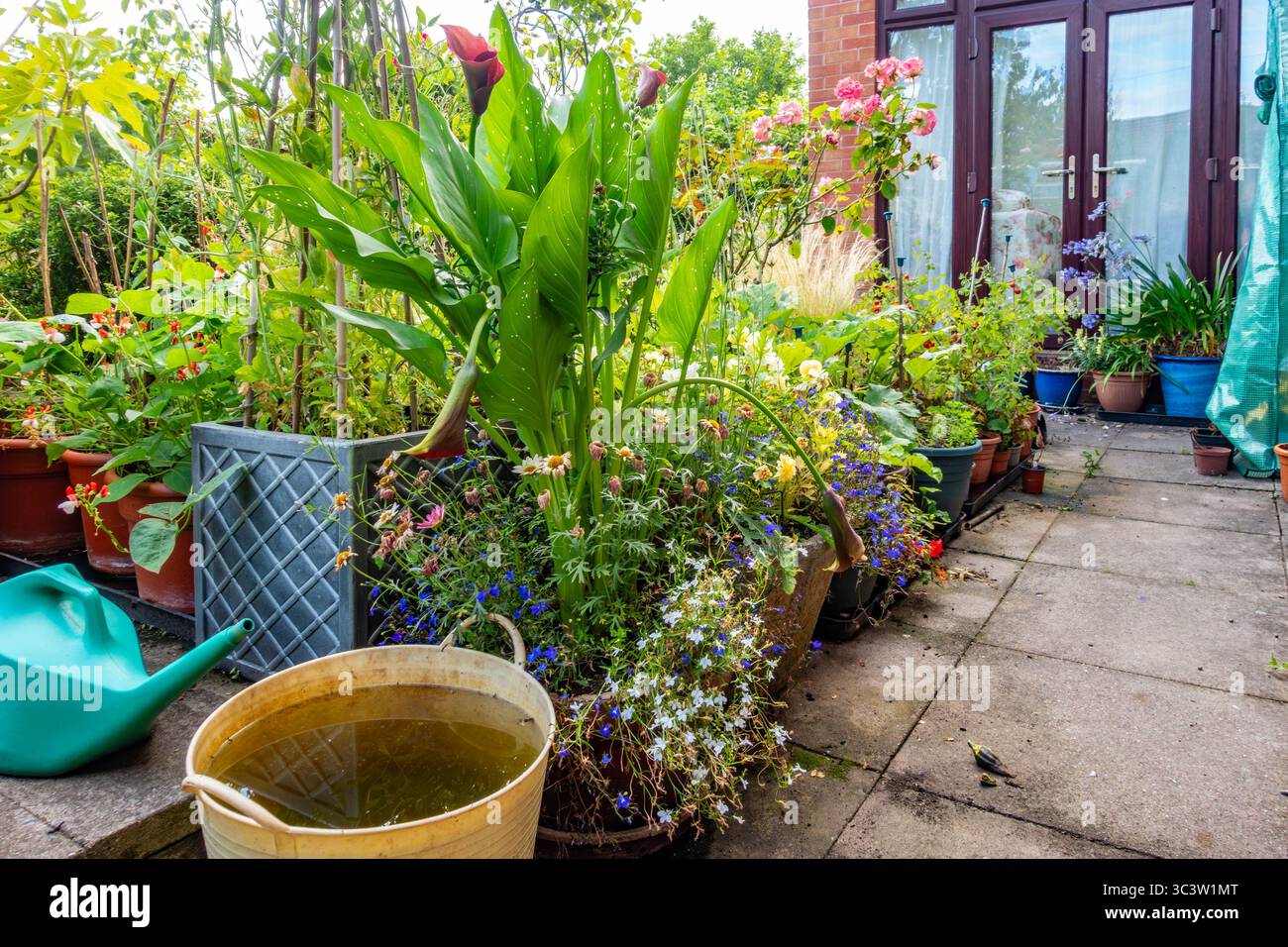 Coin d'un jardin avec des plantes en pots le long du bord d'un patio. Banque D'Images