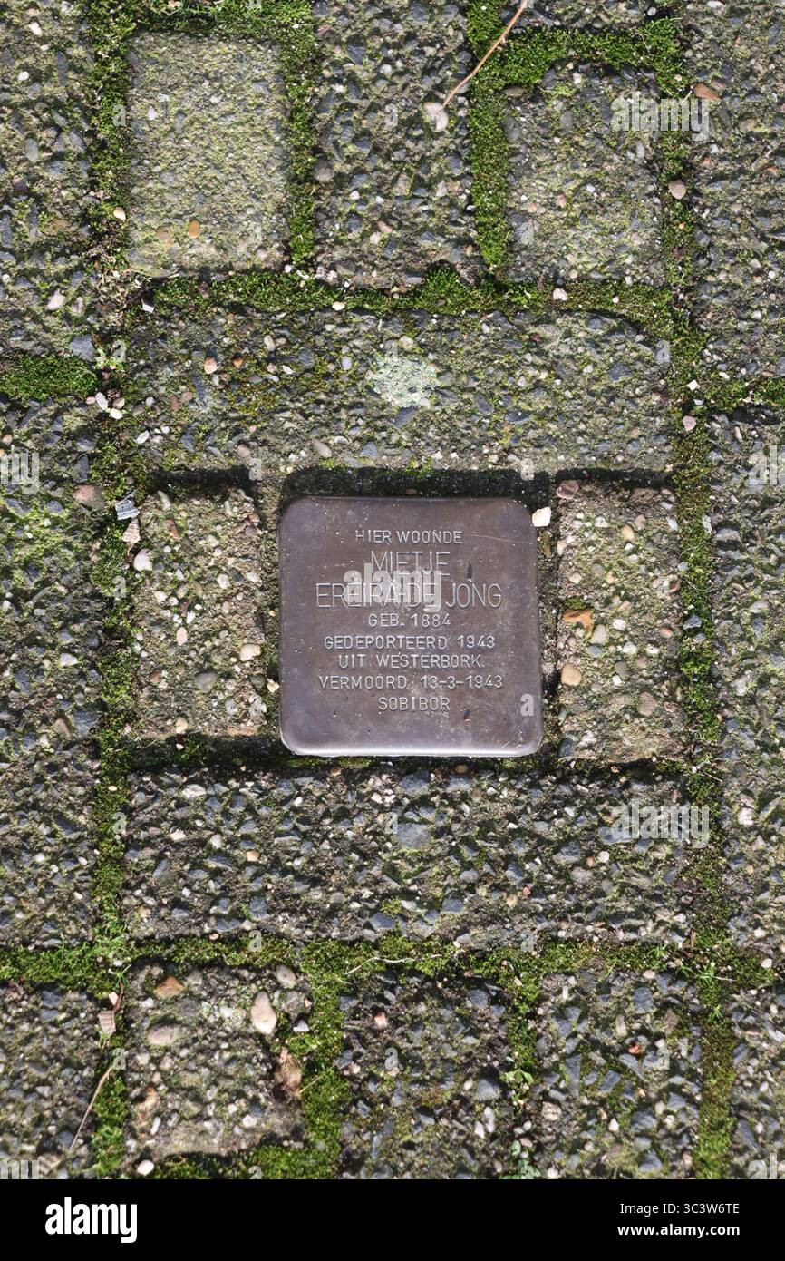 Une pierre de trésor, à Amsterdam, le 31 janvier 2025. Photo de Raquel G. Frohlich. Banque D'Images