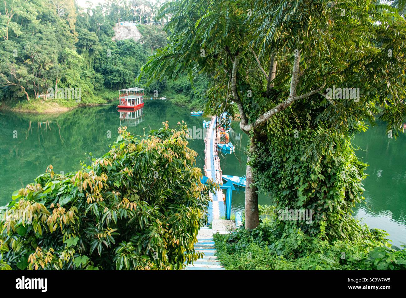 Pentes verdoyantes descendant dans le lac Kaptai Banque D'Images