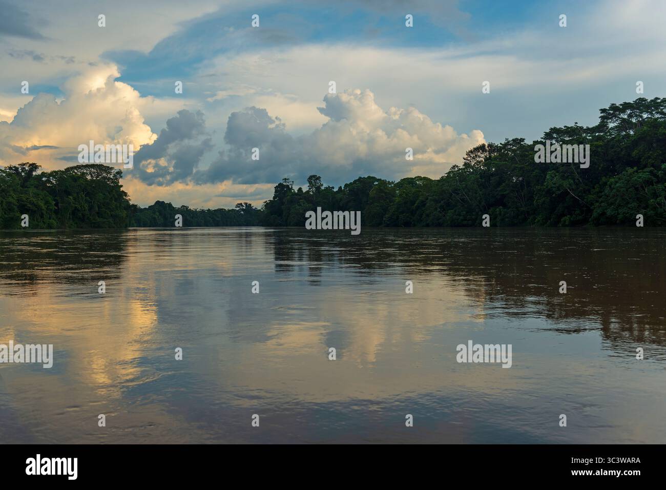 Coucher de soleil de la rivière Aguarico, réserve de faune de Cuyabeno, forêt amazonienne, Équateur. Banque D'Images
