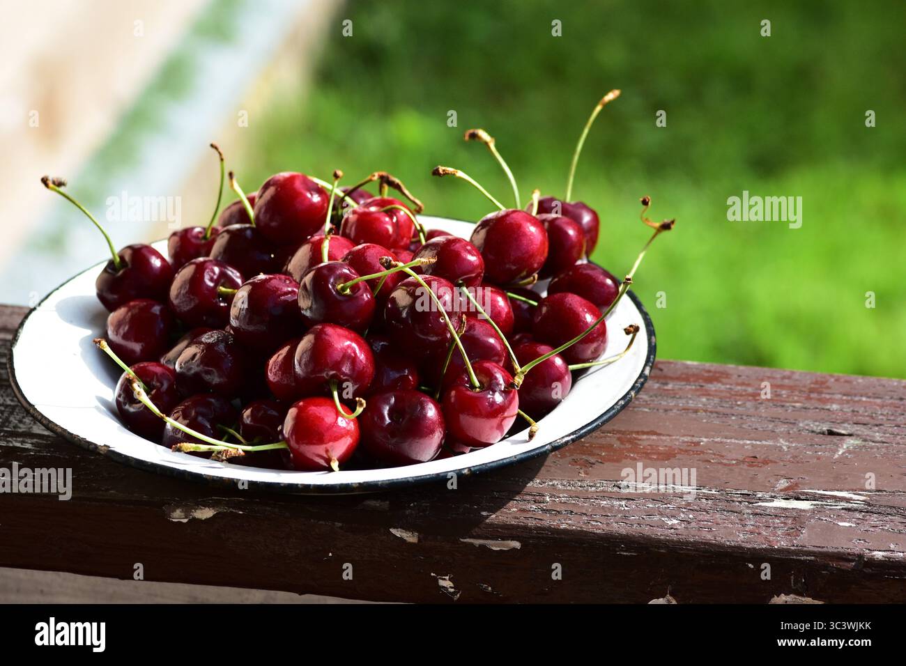 Assiette remplie de cerises mûres fraîchement cueillies sur une surface en bois. Fruits rouges juteux scintillant à la lumière naturelle, soulignant la récolte d'été et l'organi Banque D'Images