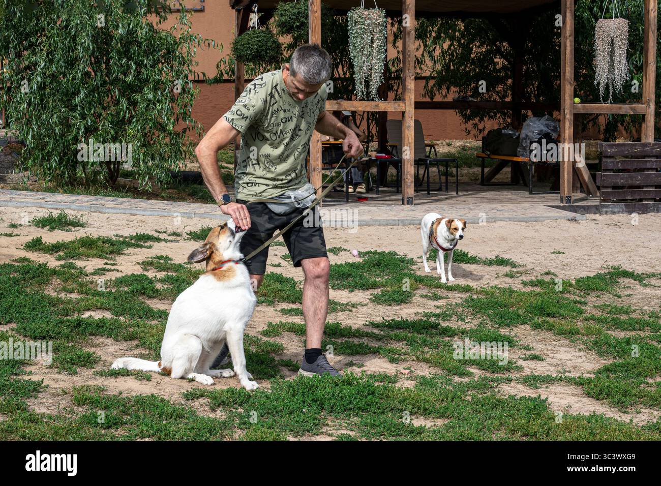le chien suit les ordres du propriétaire à côté de la formation Banque D'Images