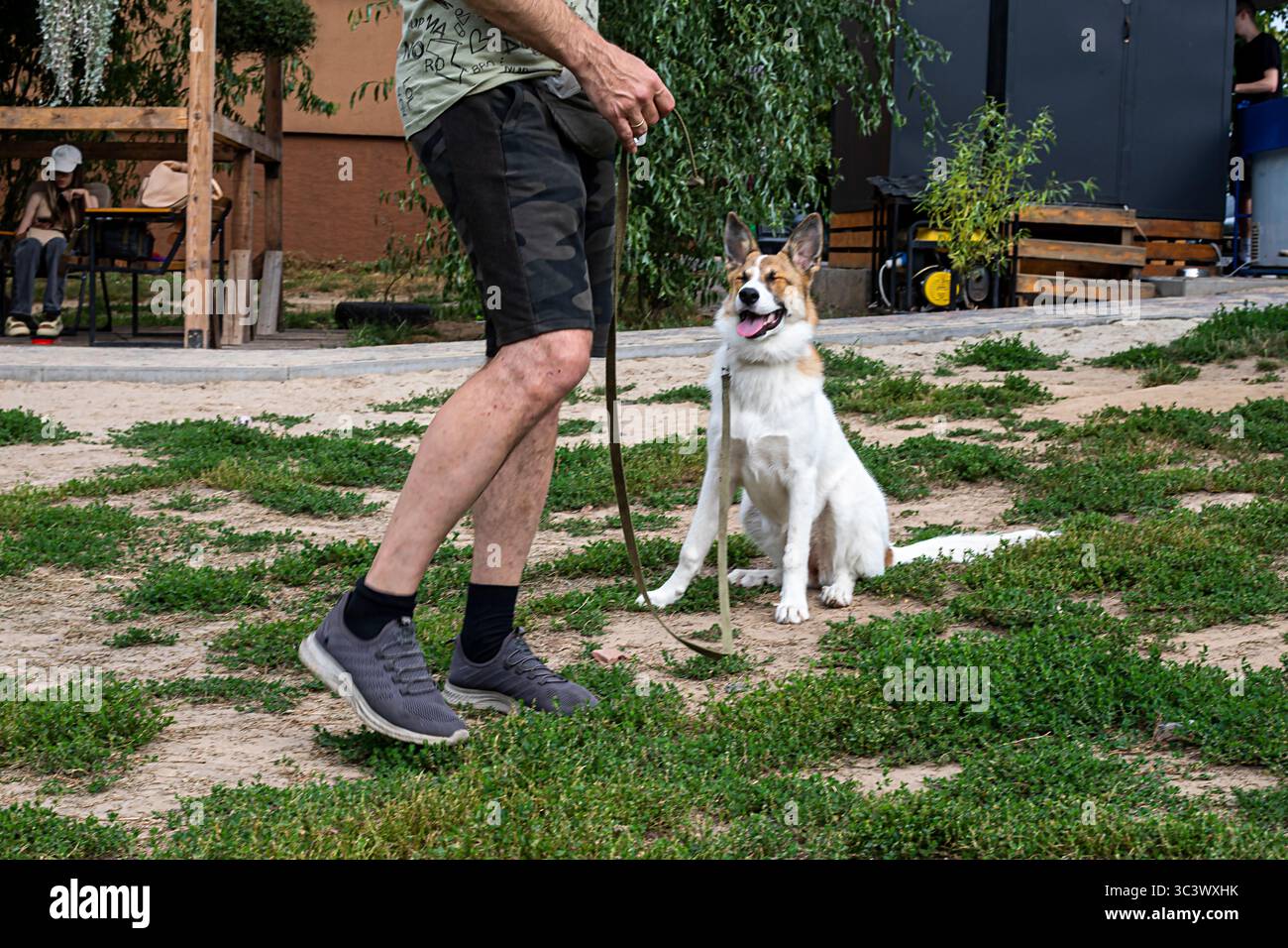 le chien suit les ordres du propriétaire à côté de la formation Banque D'Images