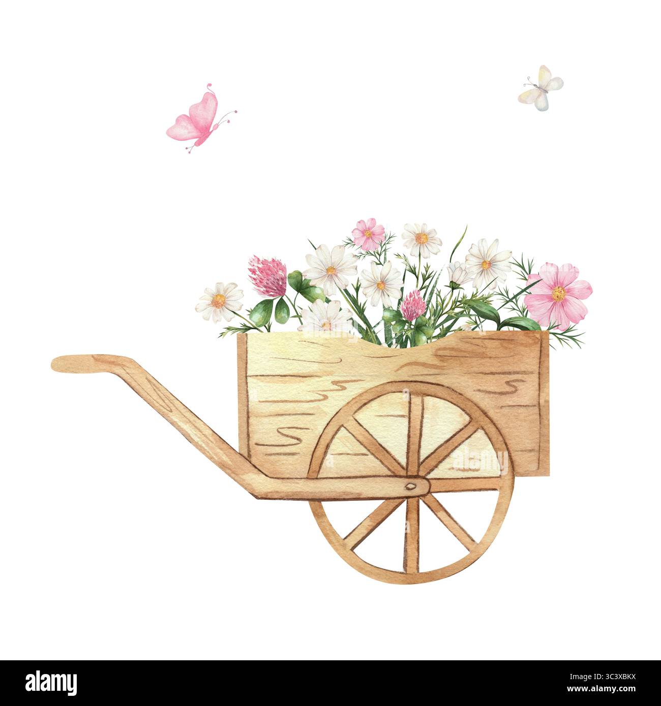 Illustration aquarelle d'une brouette en bois remplie de fleurs sauvages, marguerites, trèfle et cosmos, avec des papillons sur fond blanc. Parfait pour le jardin, les motifs floraux et rustiques Banque D'Images