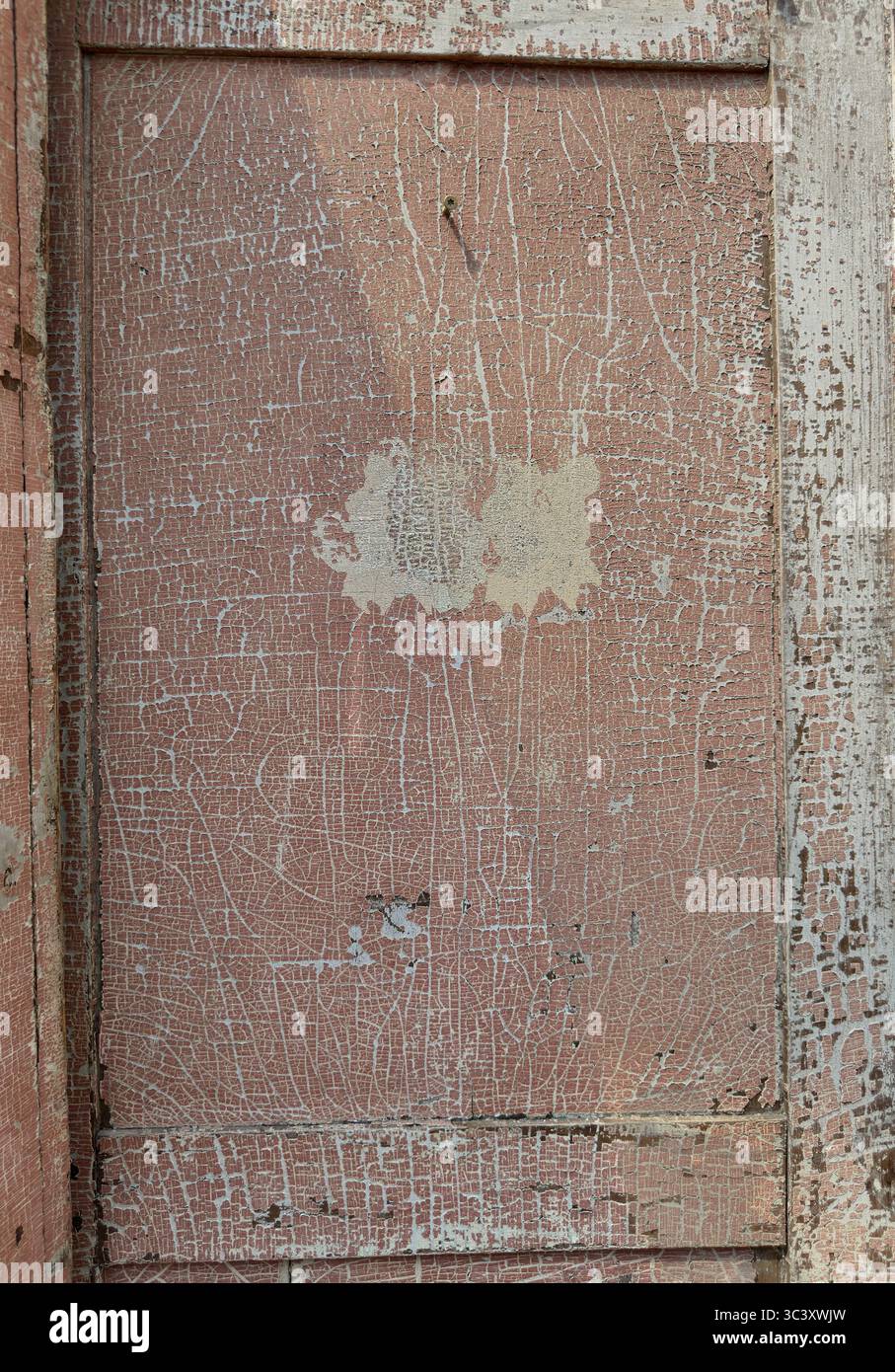 Gros plan montre un panneau de porte en bois antique rayé et écaillé avec une sous-couche grise de peinture beige. La texture élevée montre les lignes et les vieux bords encadrés pour l'arrière-plan. Banque D'Images