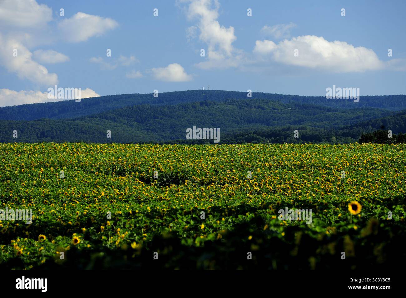 Wielka Sowa, Dolnoslaskie, Polska, gory sowie, Polska, montagne, pologne, europe, printemps, voyage,photo Kazimierz Jurewicz, Banque D'Images