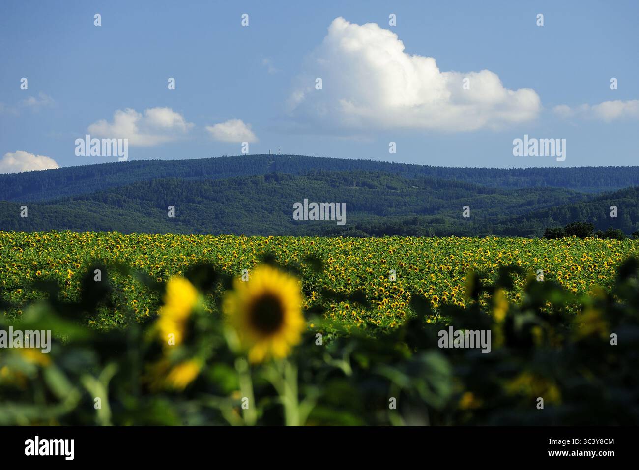 Wielka Sowa, Dolnoslaskie, Polska, gory sowie, Polska, montagne, pologne, europe, printemps, voyage,photo Kazimierz Jurewicz, Banque D'Images