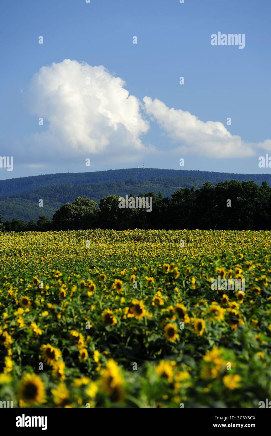 Wielka Sowa, Dolnoslaskie, Polska, gory sowie, Polska, montagne, pologne, europe, printemps, voyage,photo Kazimierz Jurewicz, Banque D'Images