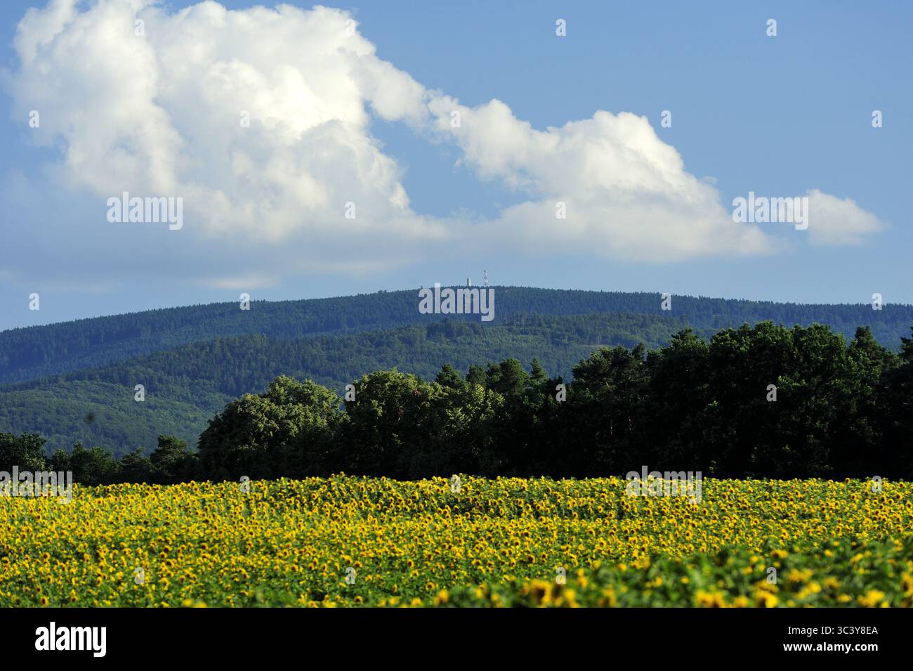 Wielka Sowa, Dolnoslaskie, Polska, gory sowie, Polska, montagne, pologne, europe, printemps, voyage,photo Kazimierz Jurewicz, Banque D'Images