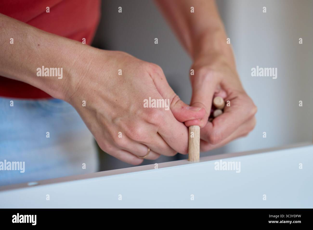Les mains femelles insèrent la cheville en bois dans le panneau de meubles blanc pendant l'assemblage. Femme relie les pièces de meubles à l'aide de chevilles en bois Banque D'Images