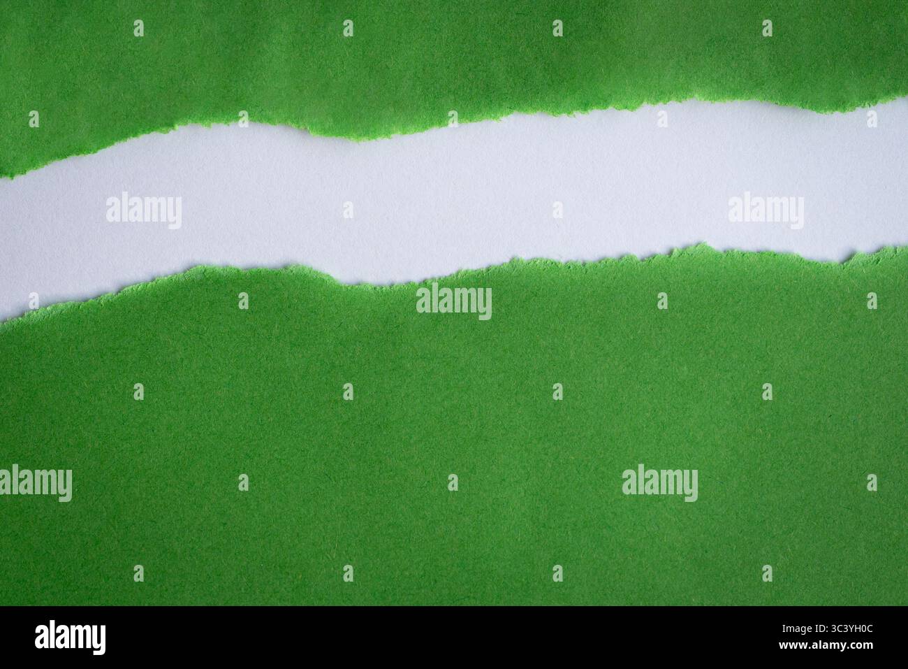 Papier vert déchiré en deux laissant un espace au centre, sur fond blanc. Copier l'espace. Banque D'Images