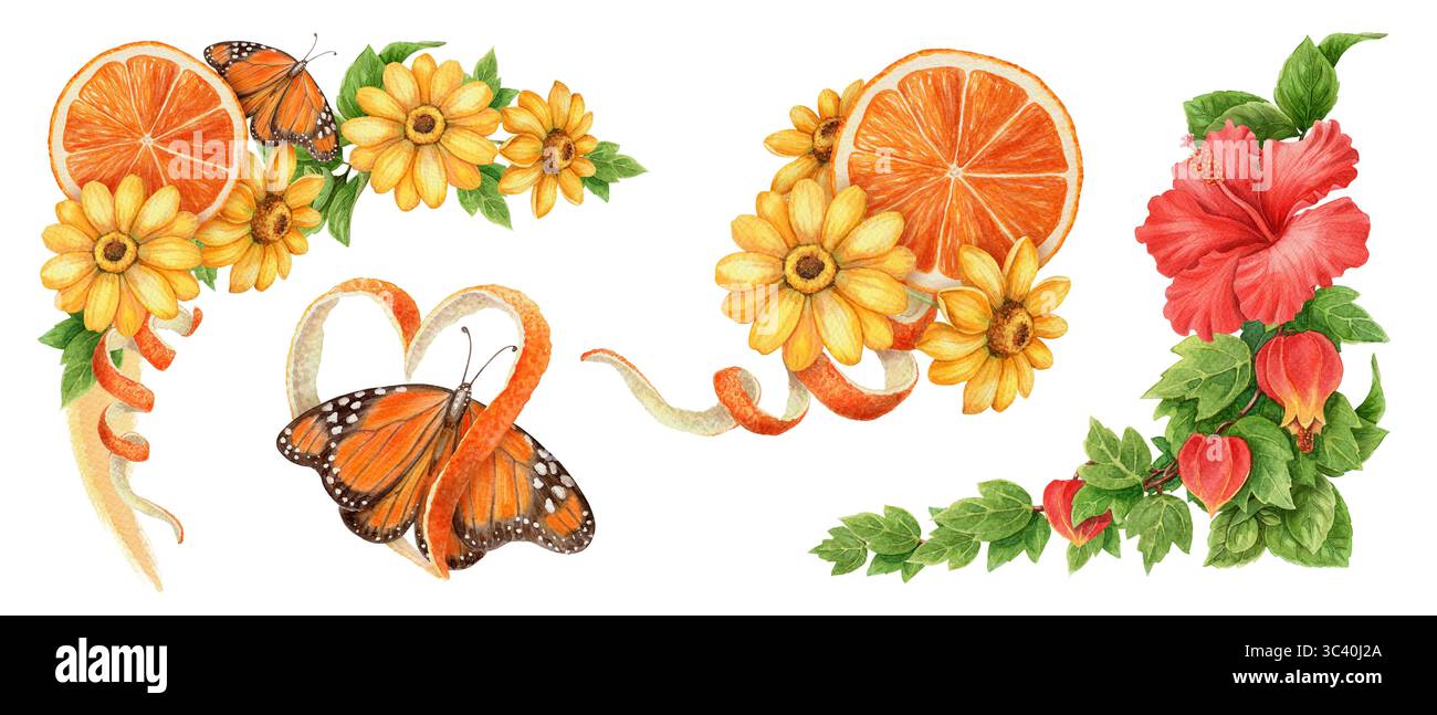 Ensemble de conception de coin d'été de papillon et fleur d'hibiscus. Illustration de tranche de fruit dessinée à l'aquarelle à la main pour la décoration de thème de vacances tropicales. Lumineux Banque D'Images