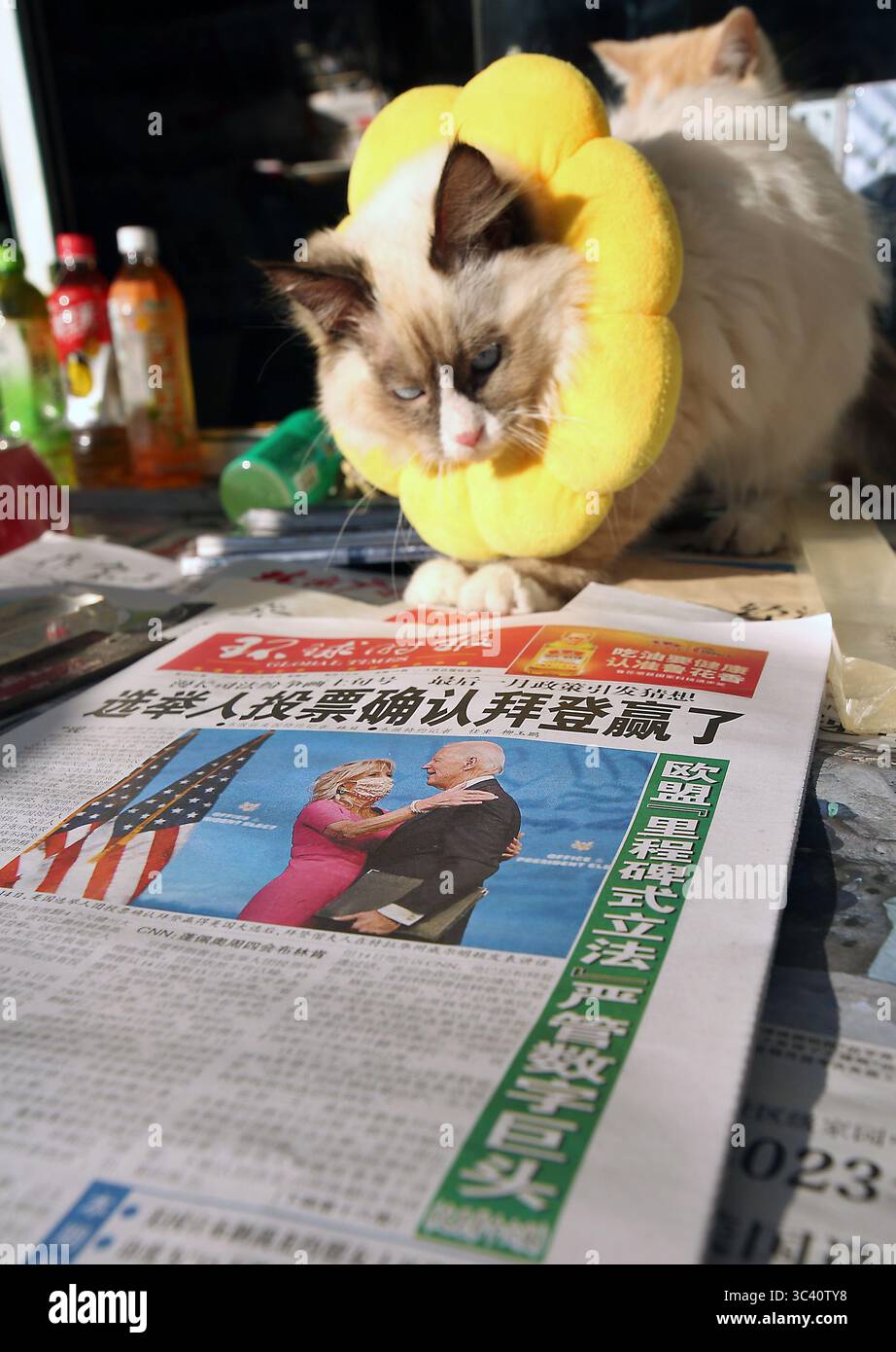 16 décembre 2020, PÉKIN, CHINE : un fournisseur de nouvelles avec ses chats vend des journaux chinois de premier plan, présentant des histoires sur Joe Biden en cours de confirmation président élu, dans un kiosque de nouvelles à Pékin le mercredi 16 décembre 2020. La Chine espère qu'avec l'élection de Biden, les tensions sur un large éventail de questions s'atténueront entre les deux plus grandes économies du monde. (Crédit image : © Todd Lee/ZUMA Wire) Banque D'Images