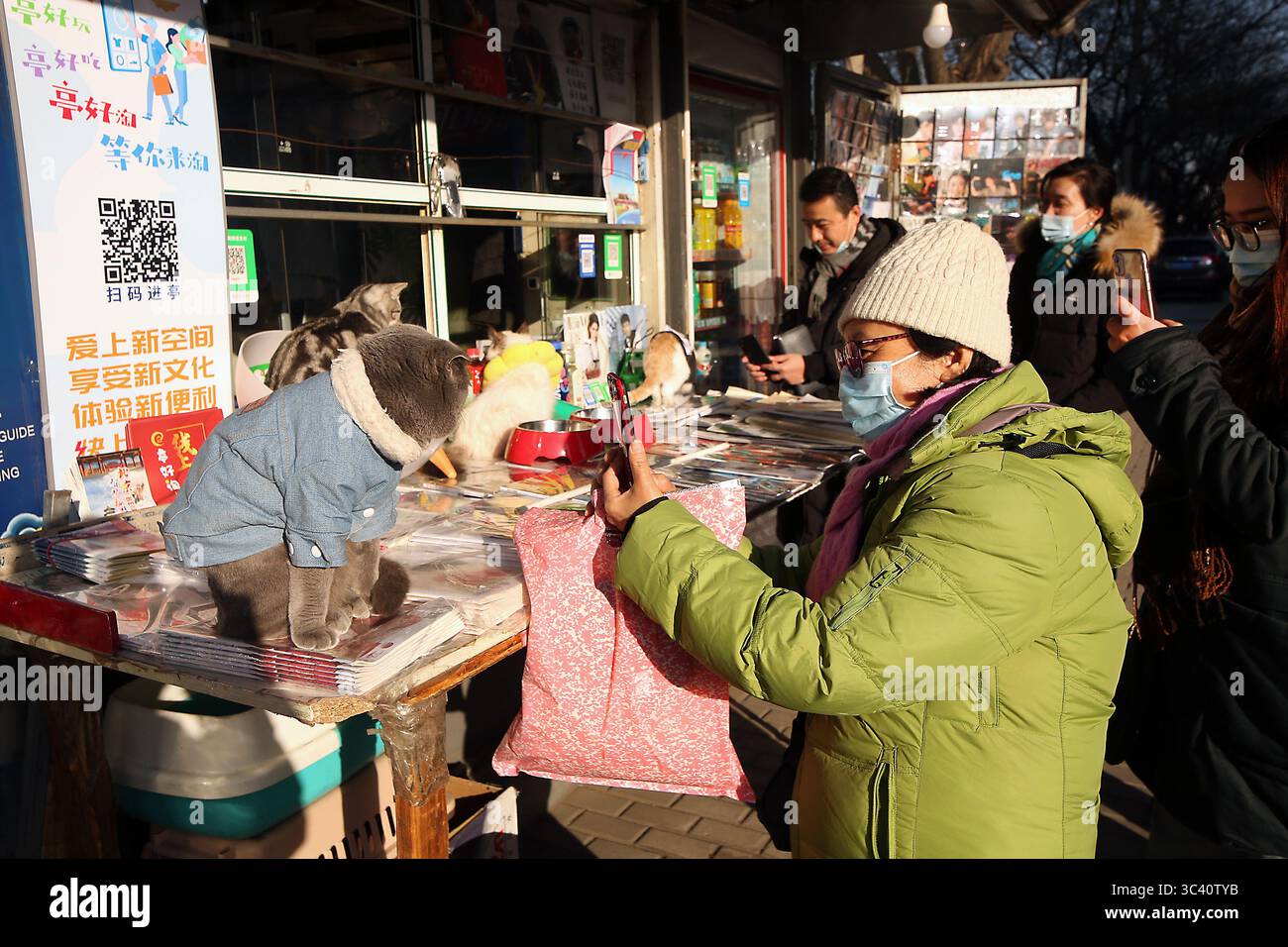 16 décembre 2020, PÉKIN, CHINE : un fournisseur de nouvelles avec ses chats vend des journaux chinois de premier plan, présentant des histoires sur Joe Biden en cours de confirmation président élu, dans un kiosque de nouvelles à Pékin le mercredi 16 décembre 2020. La Chine espère qu'avec l'élection de Biden, les tensions sur un large éventail de questions s'atténueront entre les deux plus grandes économies du monde. (Crédit image : © Todd Lee/ZUMA Wire) Banque D'Images