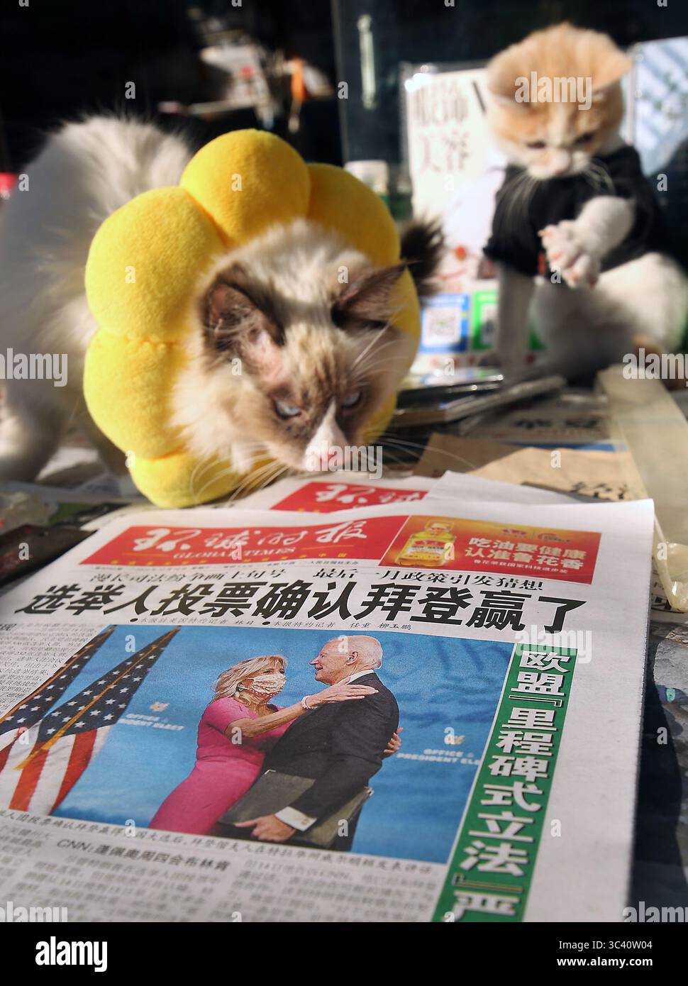 16 décembre 2020, PÉKIN, CHINE : un fournisseur de nouvelles avec ses chats vend des journaux chinois de premier plan, présentant des histoires sur Joe Biden en cours de confirmation président élu, dans un kiosque de nouvelles à Pékin le mercredi 16 décembre 2020. La Chine espère qu'avec l'élection de Biden, les tensions sur un large éventail de questions s'atténueront entre les deux plus grandes économies du monde. (Crédit image : © Todd Lee/ZUMA Wire) Banque D'Images