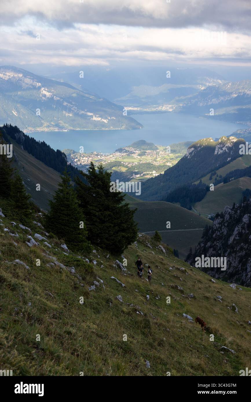 Une vue panoramique depuis un sentier de randonnée dans les Alpes bernoises met en valeur une vallée menant au lac de Thoune. Les randonneurs montent la pente herbeuse, avec la ville et le lac Banque D'Images