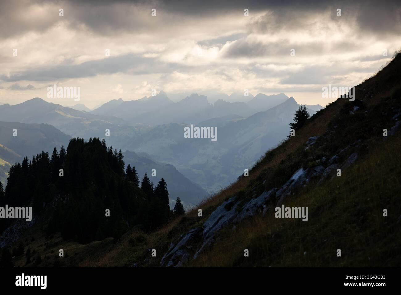 Une vue grand angle capture un paysage montagneux spectaculaire dans les Alpes suisses. La scène présente des collines ondulantes couvertes de verdure luxuriante, menant à un RA Banque D'Images