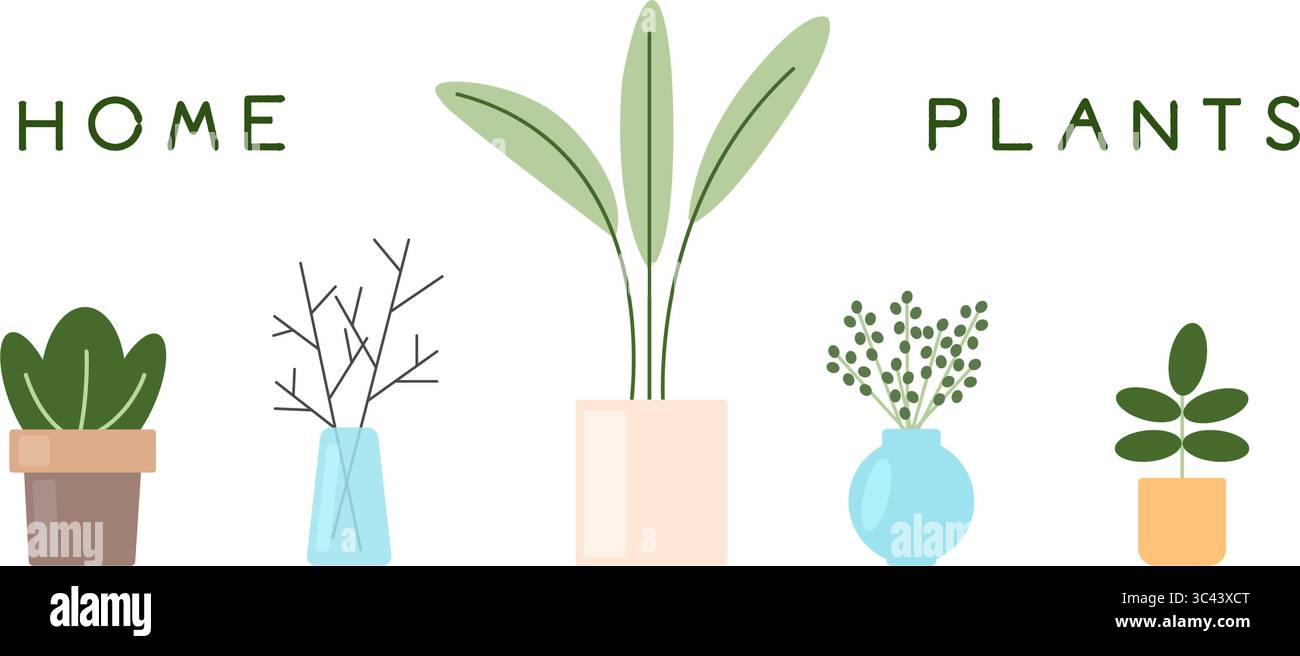 Ensemble de plantes domestiques. Plantes en pot et dans un vase en verre pour la décoration intérieure. Simple collection d'éléments à plat. Illustration de Vecteur