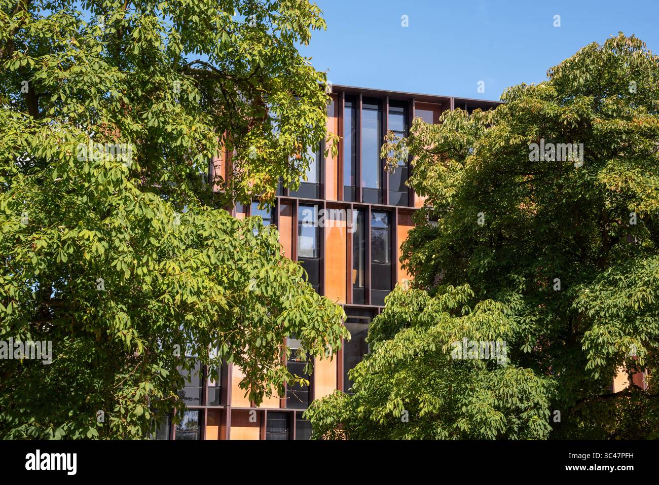 Le Beecroft Building, qui fait partie de l'Université d'Oxford, Oxford, Royaume-Uni Banque D'Images