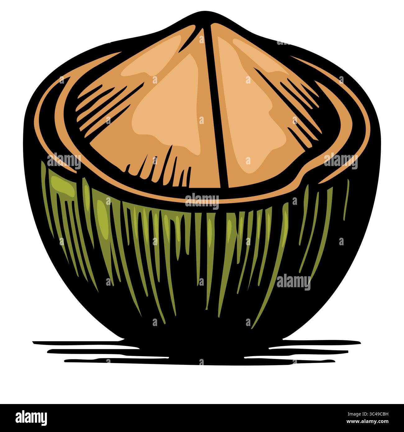 Illustration vectorielle stylisée d'une noix de coco, mettant en valeur sa coquille brune et sa couche extérieure verte. La noix de coco est représentée avec une texture lisse et un sli Illustration de Vecteur