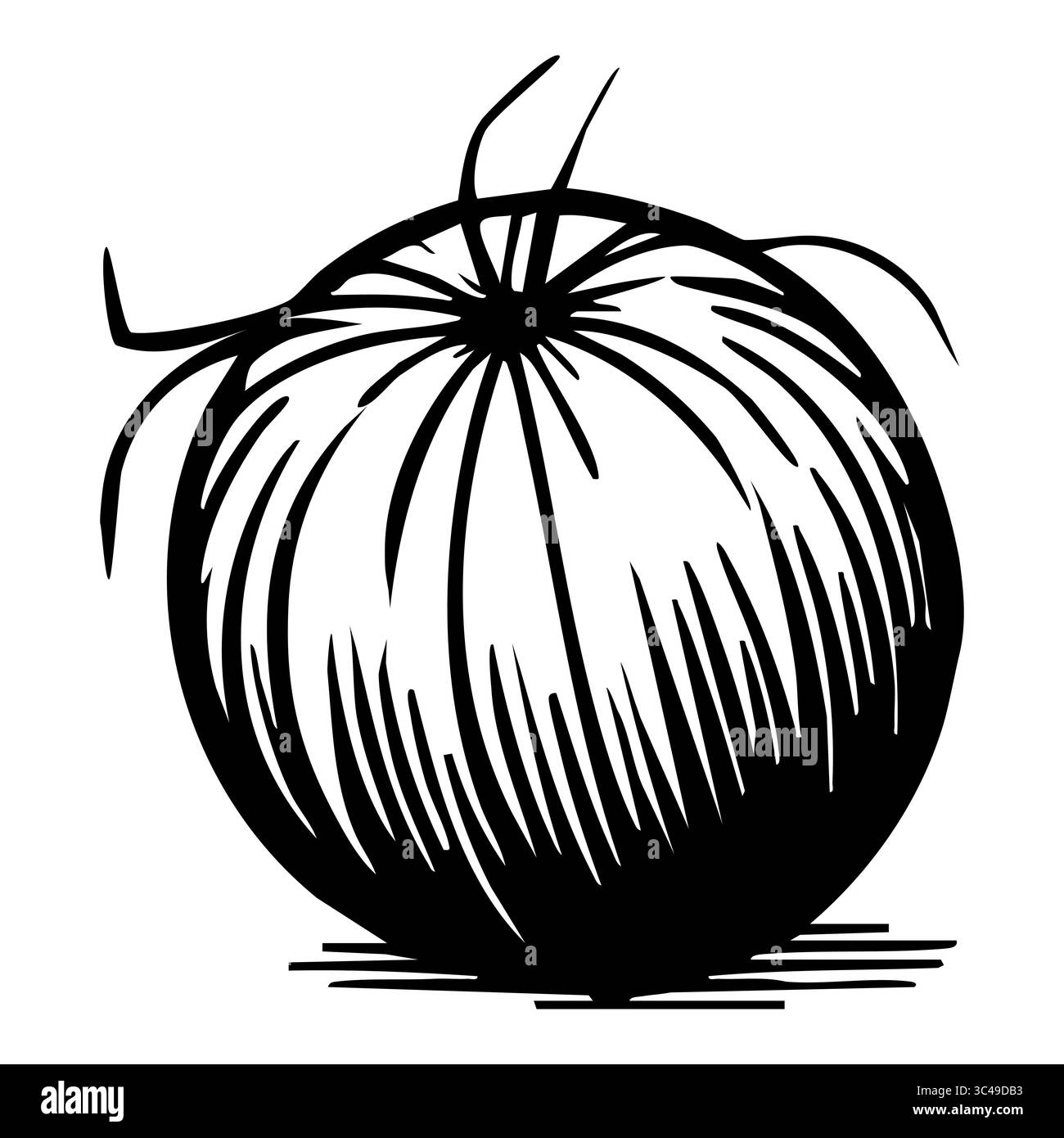Illustration vectorielle stylisée en noir et blanc d'une tomate ronde avec une surface texturée et des tiges vertes sur le dessus. Illustration de Vecteur