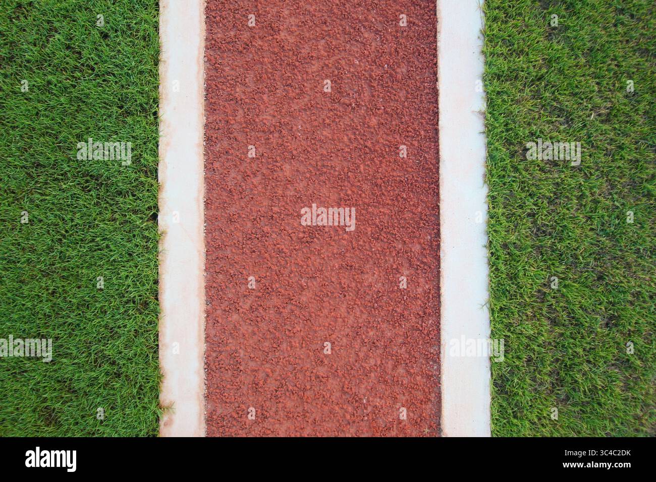 Vue de dessus d'un sentier rouge traversant une pelouse verte avec une symétrie parfaite. Fond de nature abstrait avec contraste de couleurs vives et géométrie. Banque D'Images