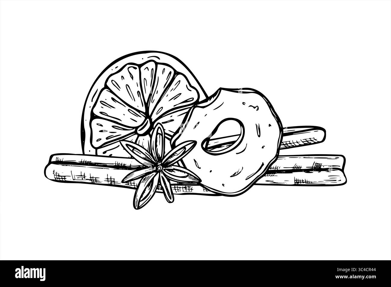 Ingrédients de fruits de Noël pour illustration isolée de vecteur de vin chaud. Tranches d'orange et de pomme séchées, bâton de cannelle, anis étoilé. Fruits d'hiver Illustration de Vecteur