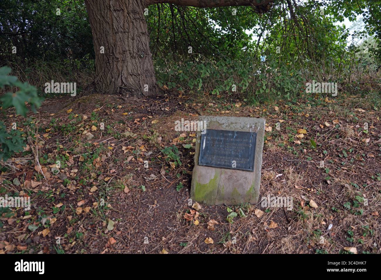 Mémorial à Anna McGurk (née Potts) qui a été assassinée par Andrew Hagans Gloucester City Council parking, Gloucester Angleterre Royaume-Uni Banque D'Images