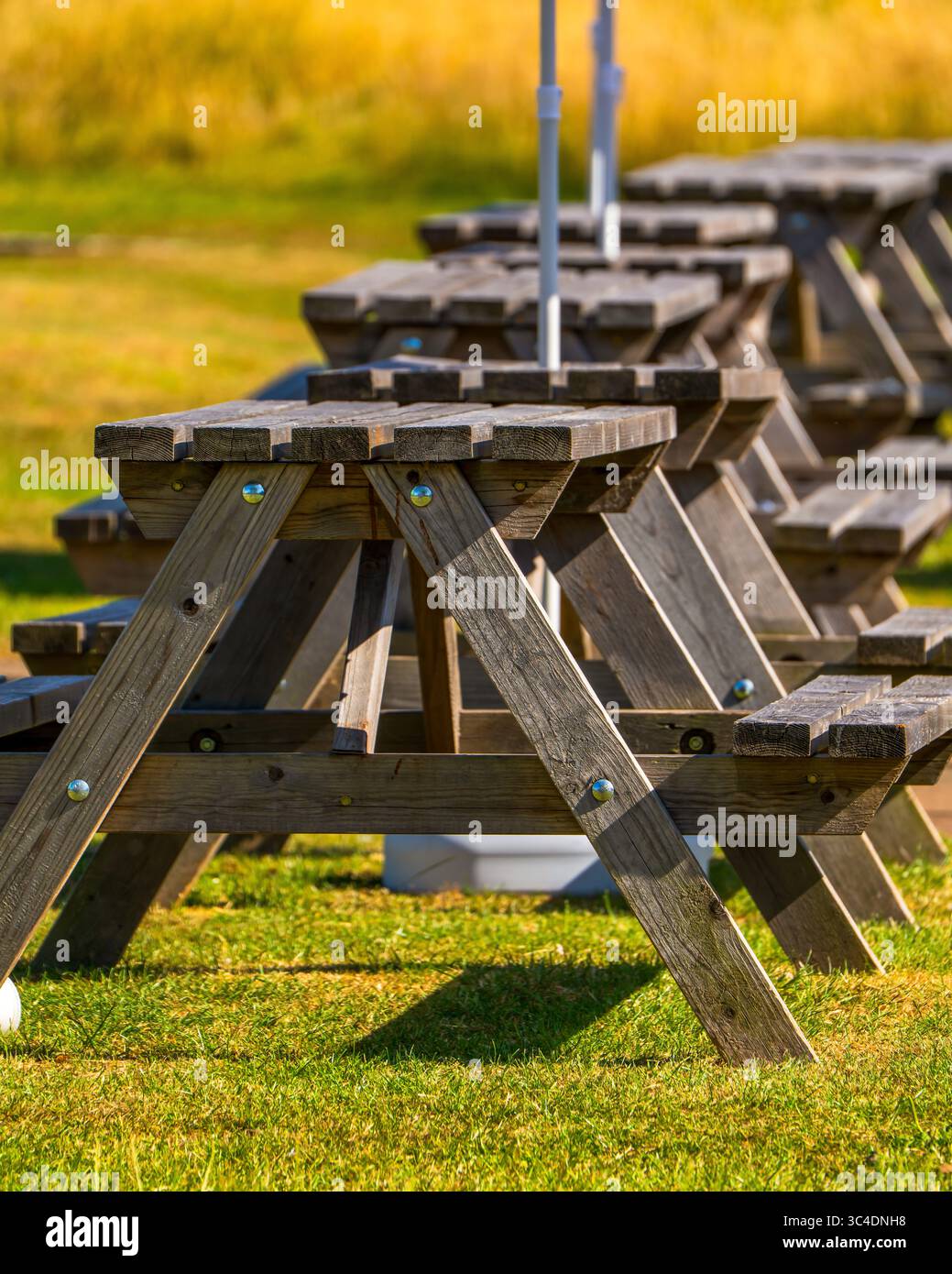 Rangée de tables de pique-nique en bois dans un cadre de parc ensoleillé Banque D'Images