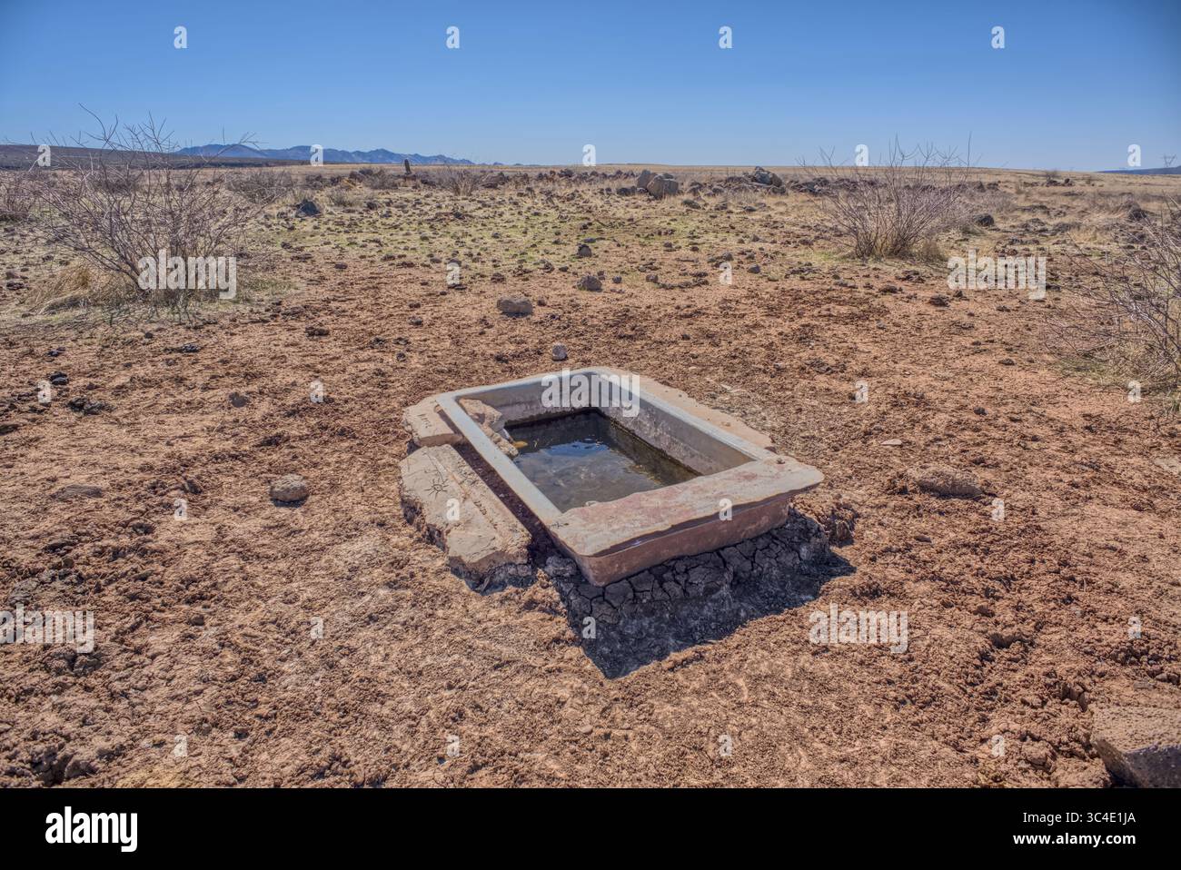 Un abreuvoir bien nourri utilisé pour abreuver le bétail et la faune dans le Monument national Agua Fria au nord de Black Canyon City Arizona. Banque D'Images