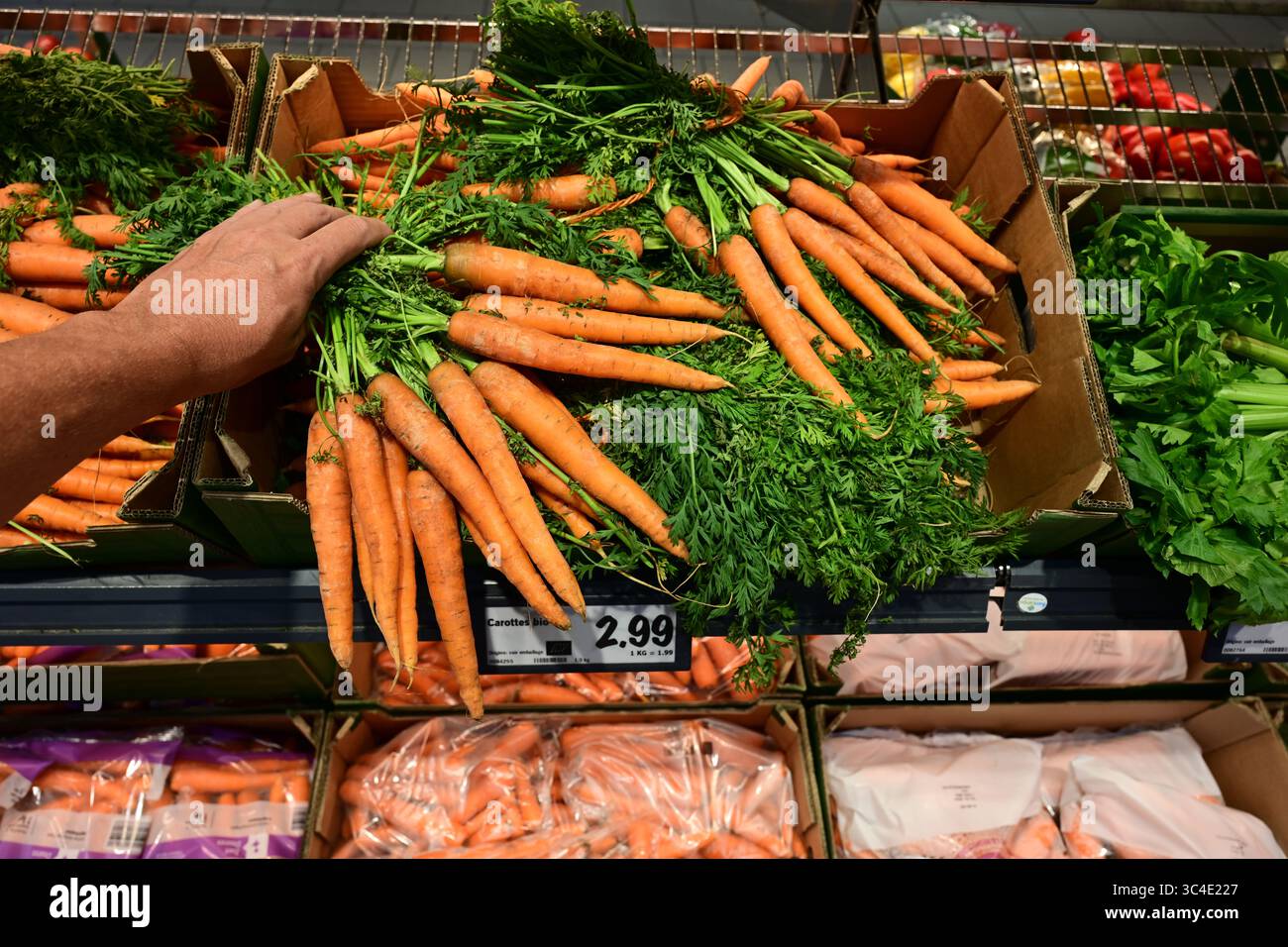 Achetez un bouquet de carottes dans une épicerie Banque D'Images