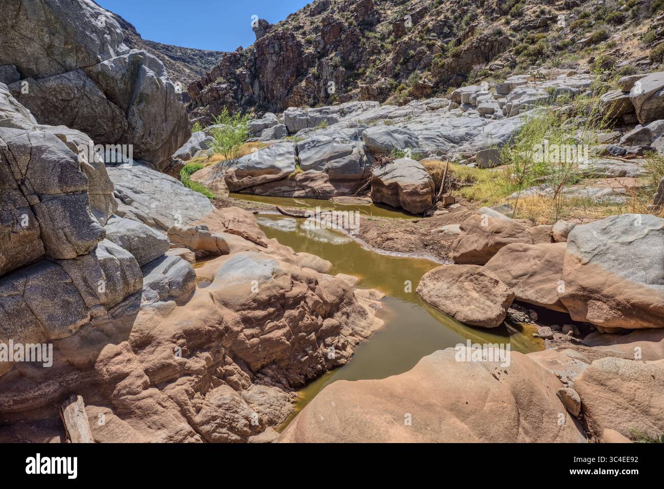 Un bassin éphémère d'eau dans le lit de granit du canyon de la rivière Agua Fria dans le Monument national Agua Fria de l'Arizona. Banque D'Images