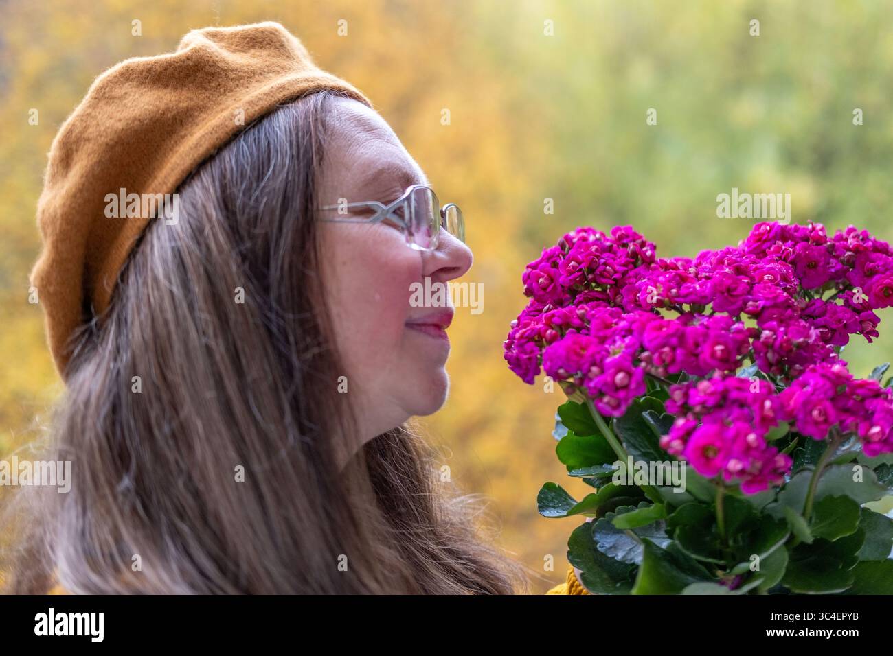 Cadeau de fleur, étreinte douce de l'automne, moment serein de la femme avec des fleurs d'aster, essence de l'automne, connexion gracieuse à la saison d'aster vibrante, peut-être Banque D'Images