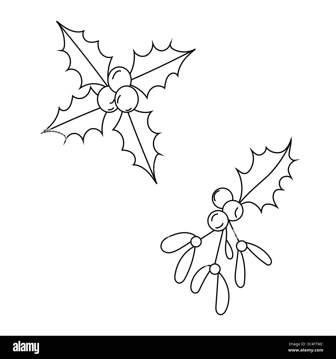 Branches de feuilles de houx. Contour de feuillage de Noël. Dessin de plantes d'hiver. Elément vectoriel décoratif. Illustration de Vecteur