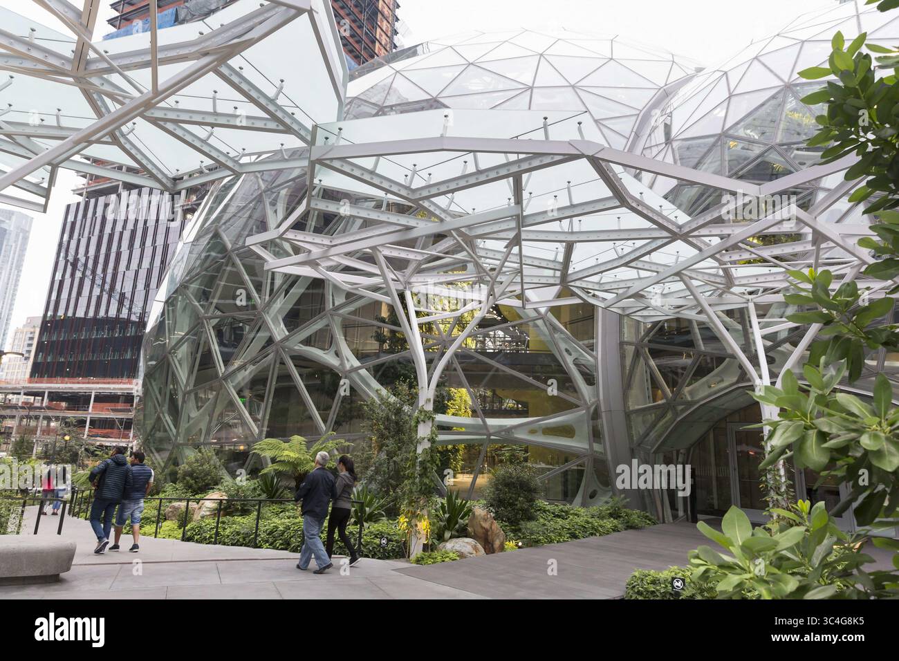 25 août 2018 - Seattle, Washington, États-Unis - Seattle, Washington : un groupe de visiteurs aux sphères amazoniennes sur le Campus urbain Amazon. Les structures géodésiques abritent des bureaux, des commerces et un jardin botanique dans le quartier de Belltown. Le bâtiment est ouvert au public sur réservation deux samedis par mois. (Crédit image : © Paul Christian Gordon/ZUMA Wire) Banque D'Images