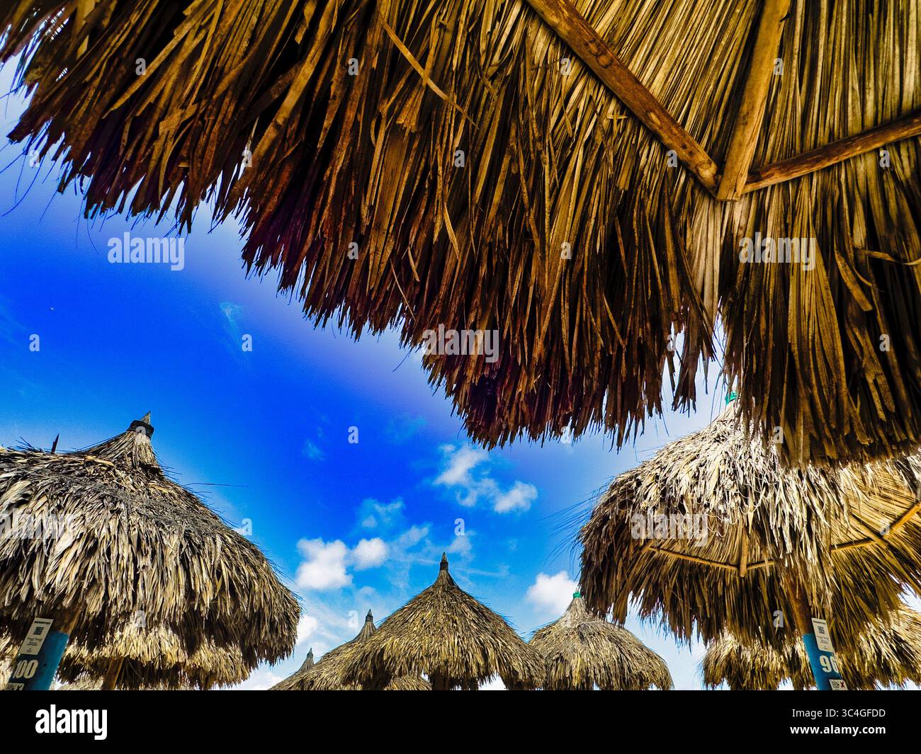 Palapas sur la plage à Aruba Banque D'Images