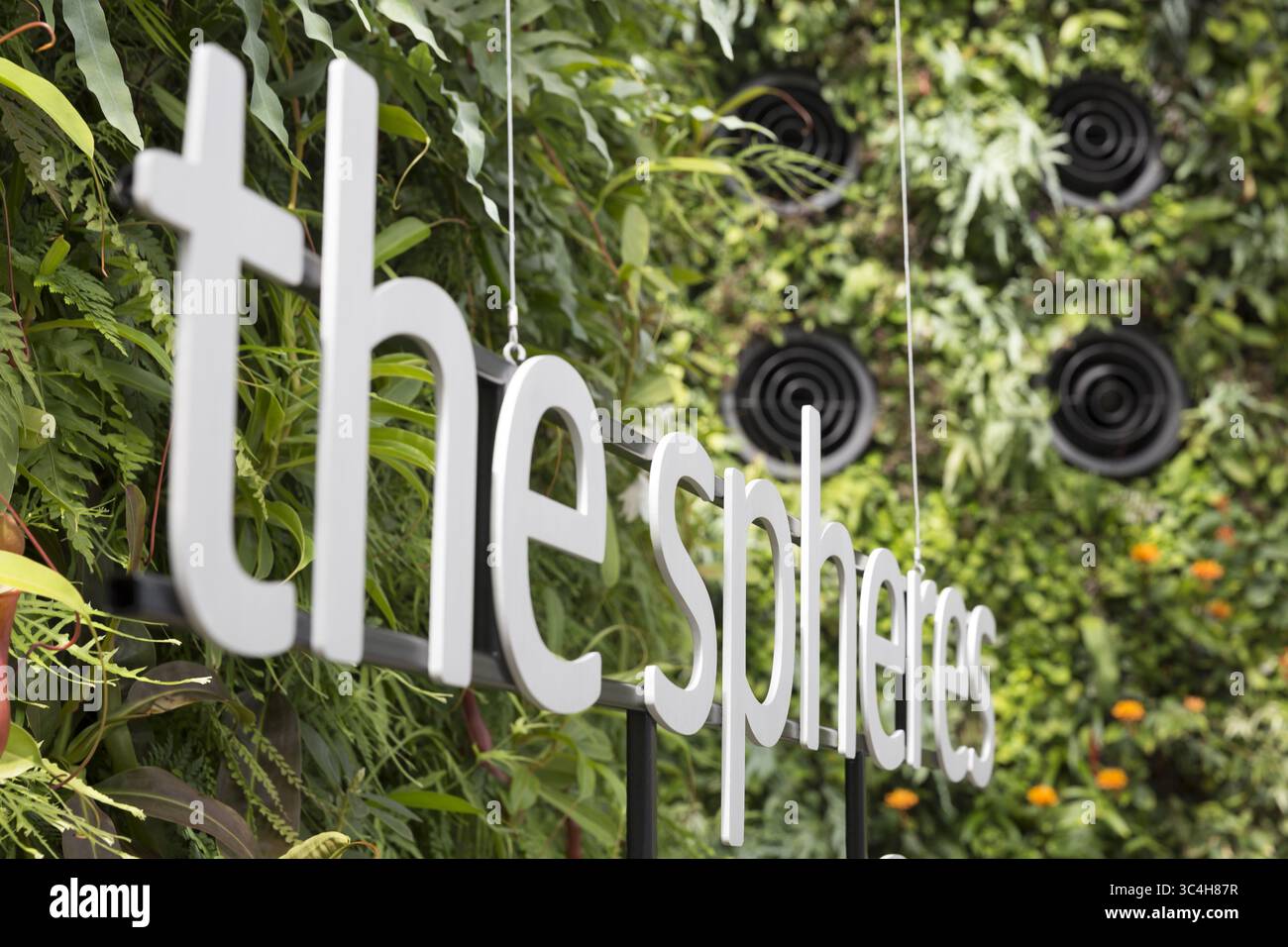 Septembre 1, 2018 - Seattle, Washington, États-Unis - Seattle, Washington : mur vivant aux sphères sur le campus urbain amazonien. Les structures géodésiques abritent des bureaux, des commerces et un jardin botanique dans le quartier de Belltown. Le bâtiment est ouvert au public sur réservation deux samedis par mois. (Crédit image : © Paul Christian Gordon/ZUMA Wire) Banque D'Images