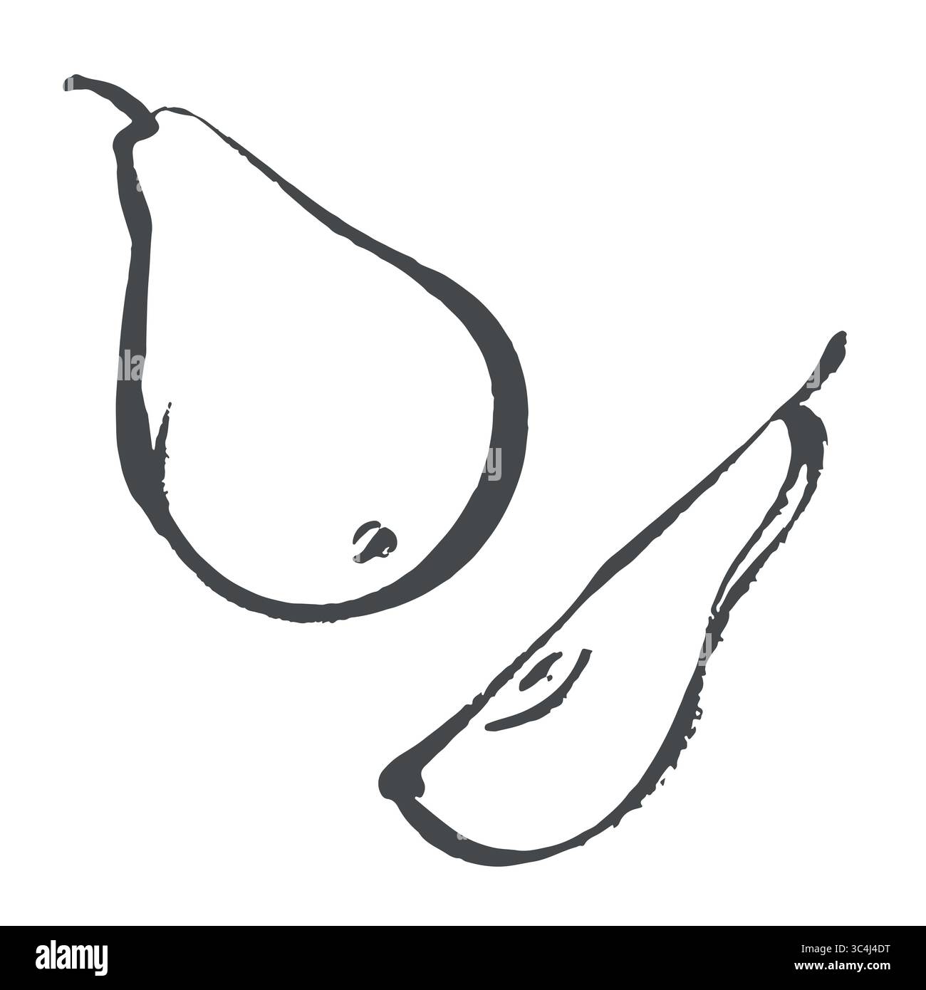 Icône d'esquisse vectorielle poire isolée sur fond. Pinceau à encre dessiné à la main illustration de fruits d'été. Griffonnages linéaires. Illustration de Vecteur