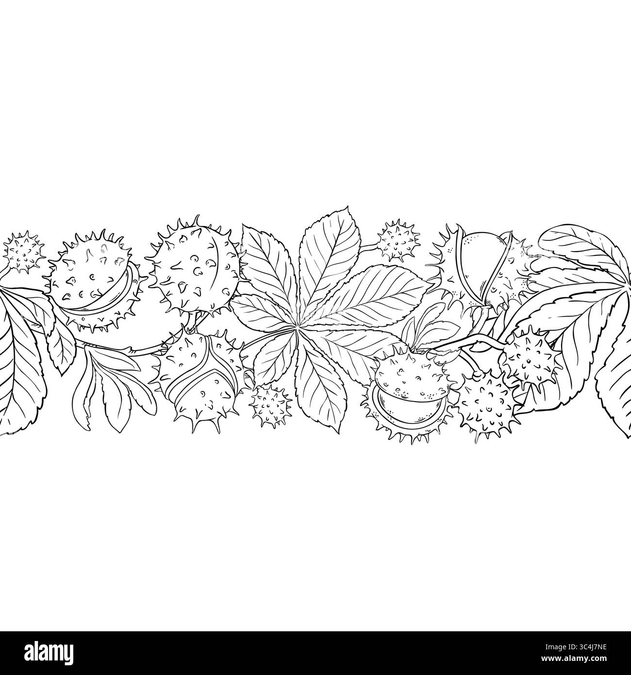 Motif horizontal sans couture du contour Horse Chestnut Illustration de Vecteur