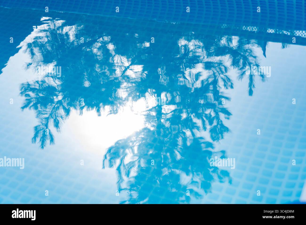 La lumière du soleil filtre à travers la cime des arbres, se reflétant sur une surface de piscine carrelée bleue et formant un motif d'eau serein et abstrait Banque D'Images