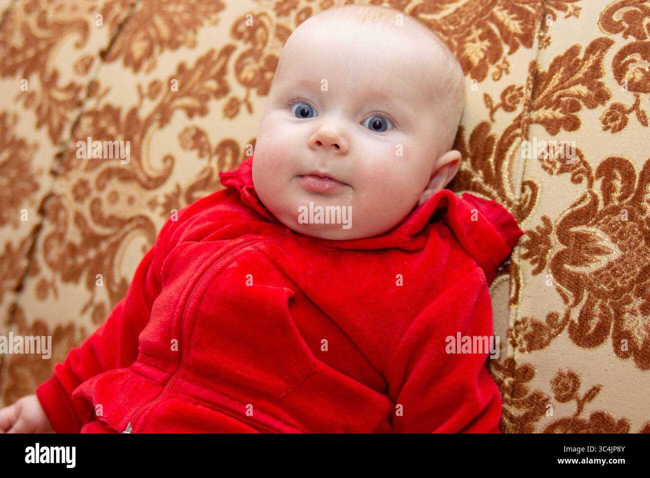 bébé avec les yeux bleus en pull rouge s'assoit Banque D'Images