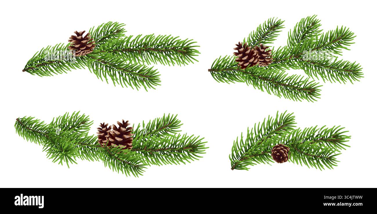 Ensemble de branches de sapin, brindille d'arbre de Noël avec des pommes de pin sur fond isolé, branche d'épinette réaliste, illustration vectorielle persistante Illustration de Vecteur