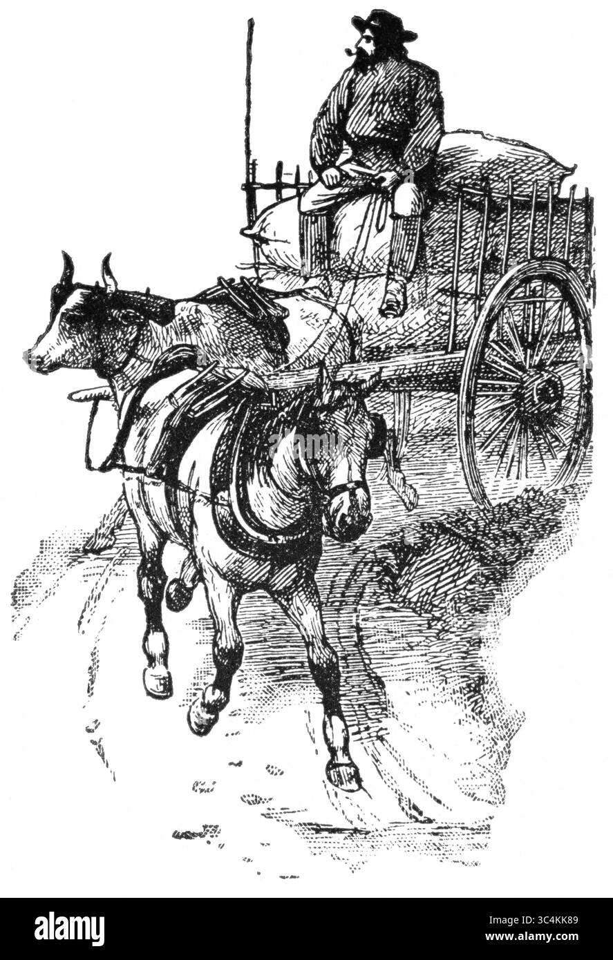 21 novembre 2017 - USA - chariot à cheval et à bœuf de la rivière Rouge près de Winnipeg, Canada, illustration, Portfolio classique de transporteurs primitifs, par Marshall M. Kirman, World Railway Publ. Ci, illustration, 1895 (crédit image : © JT Vintage/Glasshouse via ZUMA Wire) Banque D'Images