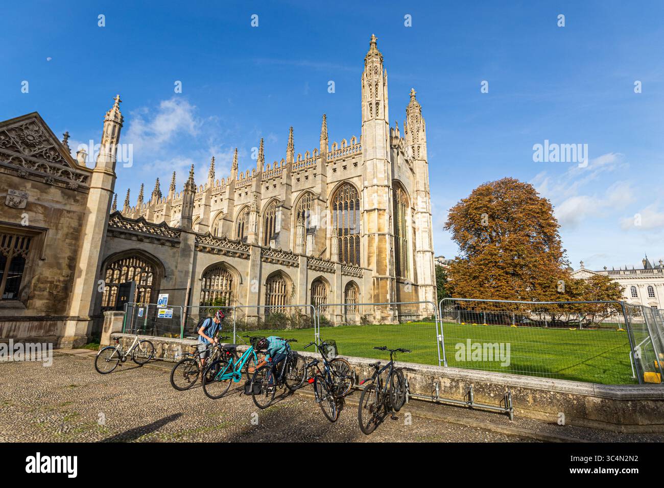 Cambridge, Angleterre. Façade est de la chapelle King's College avec un châtaignier mûr et un parking à vélos en face, combinant Gothi perpendiculaire Banque D'Images