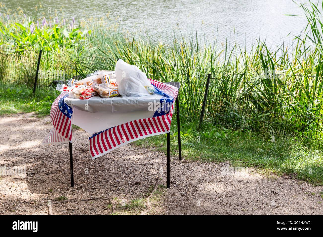 Une table pour un pique-nique à Central Park le jour de l'indépendance, recouverte d'une nappe reproduisant le drapeau américain. Banque D'Images