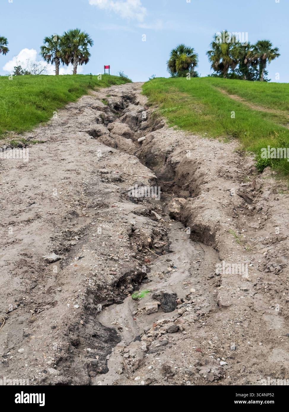 Ravin de coteau causé par l'érosion dans une installation de gestion des eaux pluviales et une zone de conservation en Floride, États-Unis. Motifs d'environnement et de sécurité publique. Banque D'Images