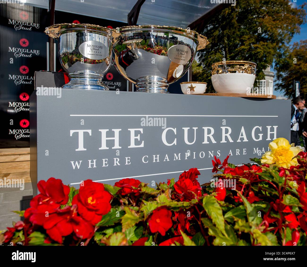 16 septembre 2018 - Curragh, KIL, États-Unis - 16 septembre 2018 : Skitter Scatter, piloté par Ronan Whelan, remporte les Moyglare Stud Stakes lors de l'Irish Champions Stakes Day à Curragh Racecourse le 16 septembre 2018 à Curragh, Irlande. Scott Serio/ESW/CSM(image de crédit : &copy ; Scott Serio/CSM via ZUMA Wire) Banque D'Images