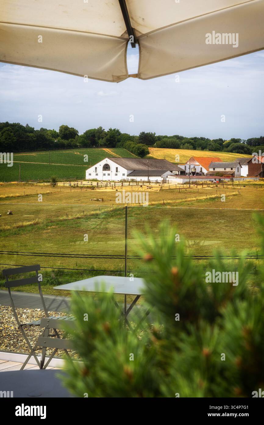 Restaurant sur le toit en été dans la campagne belge Banque D'Images