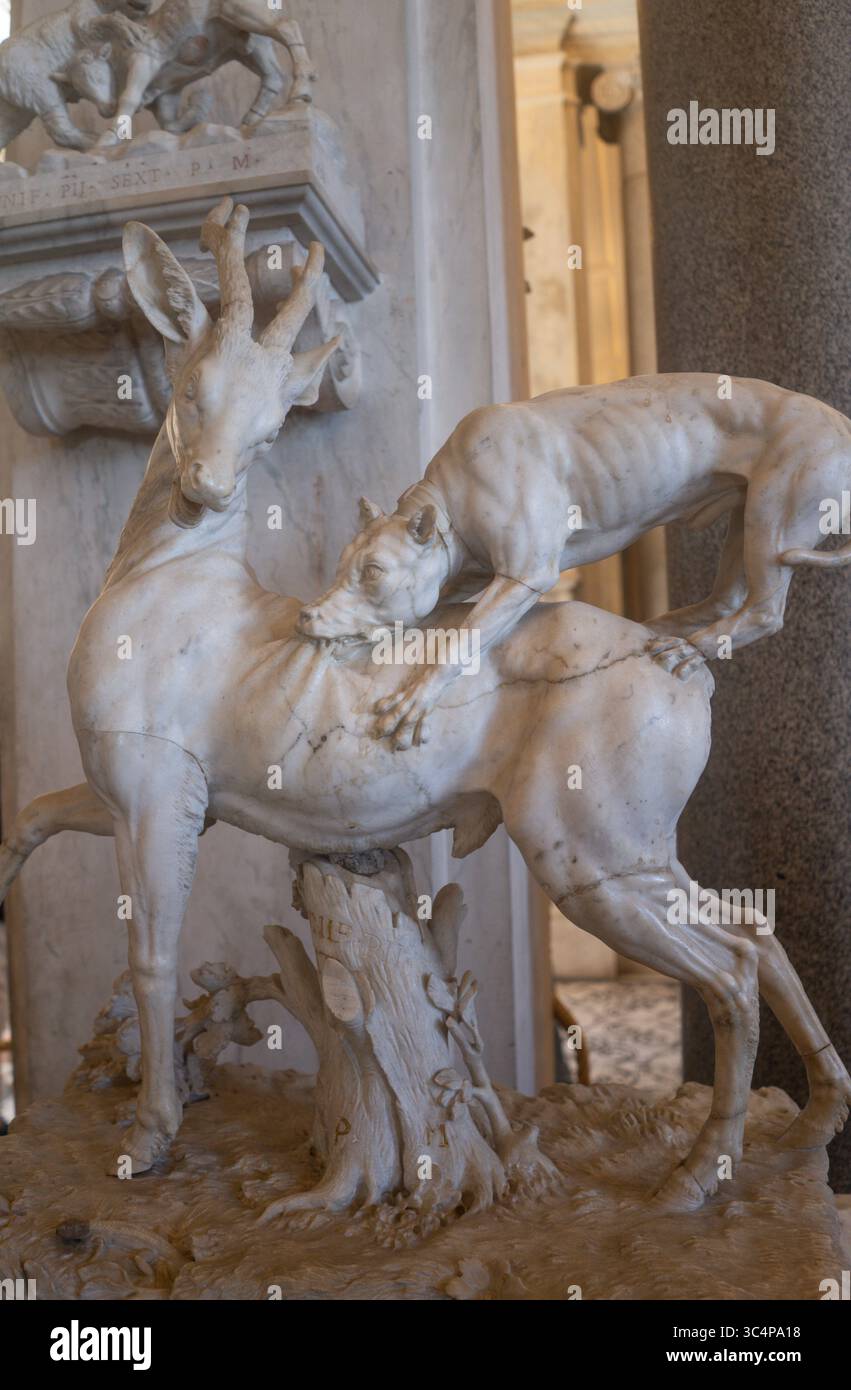 Musée du Vatican Rome - salle des animaux - L'exposition dans les deux salles qui forment ensemble la salle des animaux a été mise en place sous le pape Pie VI Banque D'Images