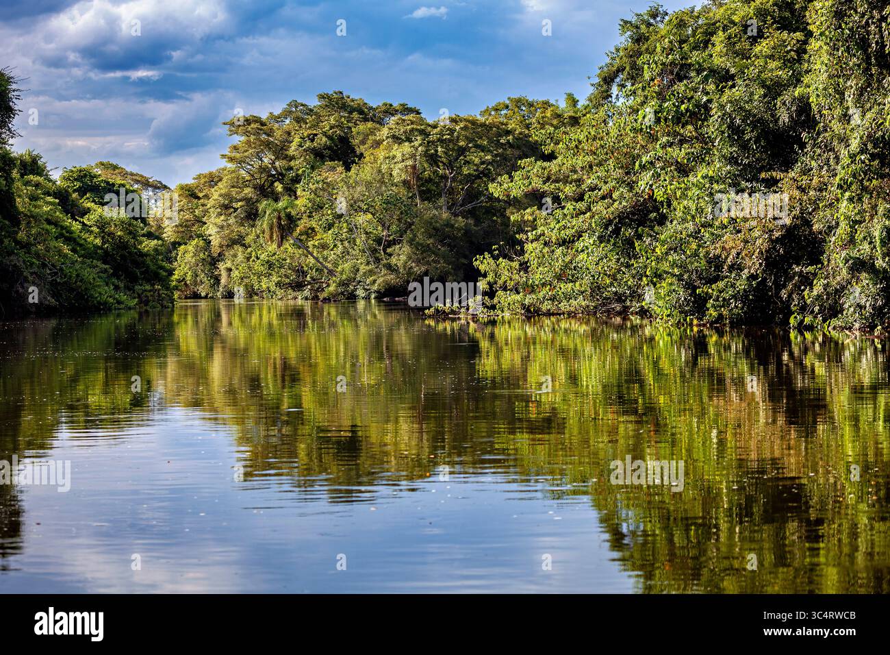 Le fleuve Iguazu entre l'Argentine et le Brésil Banque D'Images